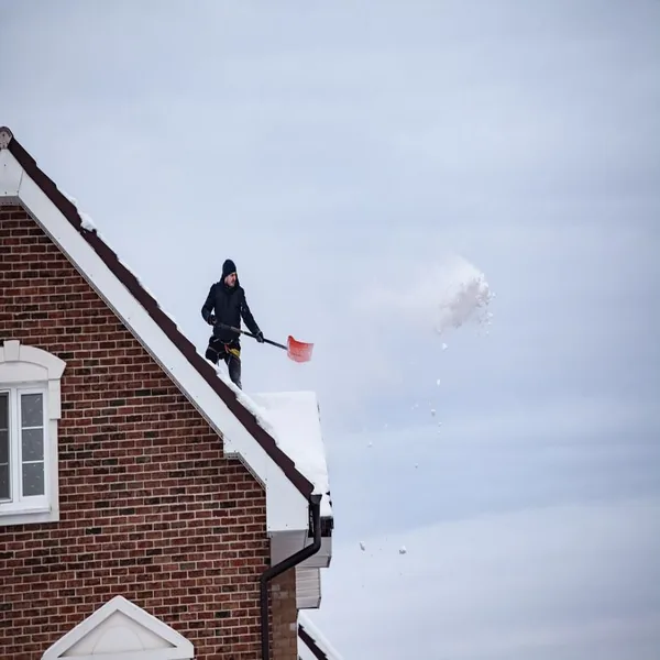 Roof cleaning service Swansea